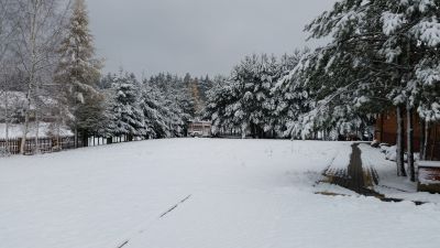 Tren przy obiekcie zimą.